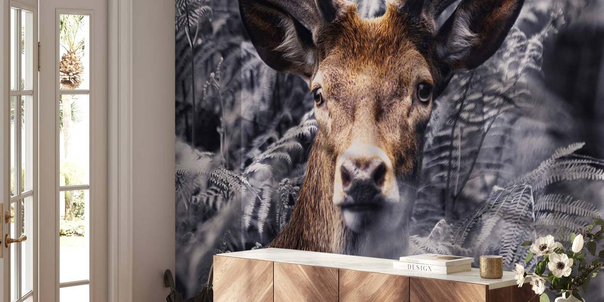 Skovens Dyr Tapet Skovens Dyr Tapet