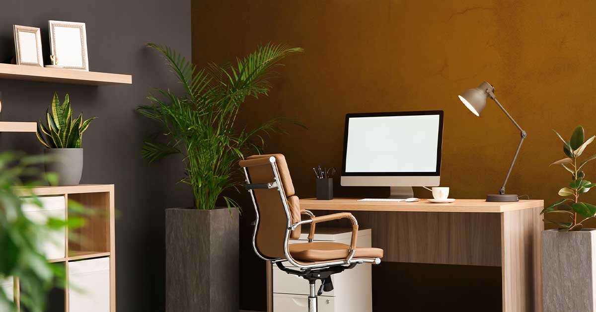 Fototapet solid brun