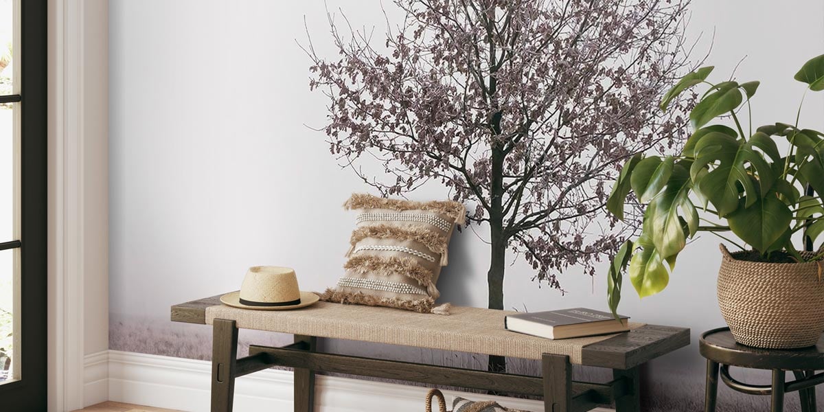 Jakub Wencek – Fanget den Skjulte Skjønnheten i Skogene Jakub Wencek – Fanget den Skjulte Skjønnheten i Skogene