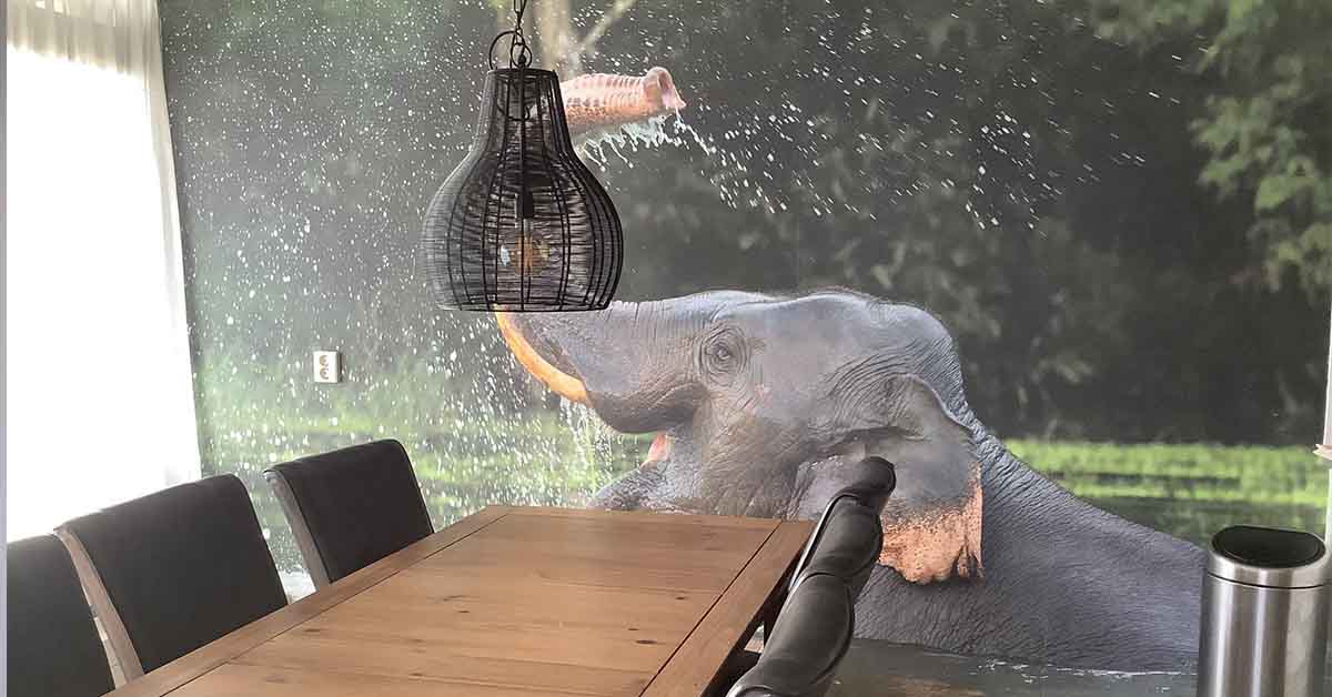 Tapet med elefanter