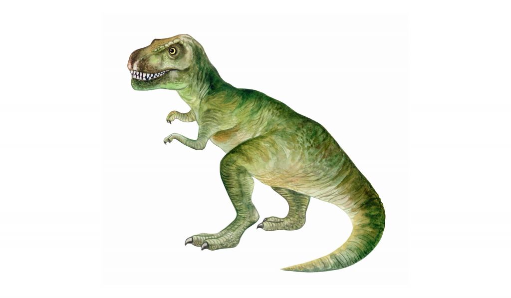 Tyrannosaurus av akvarell