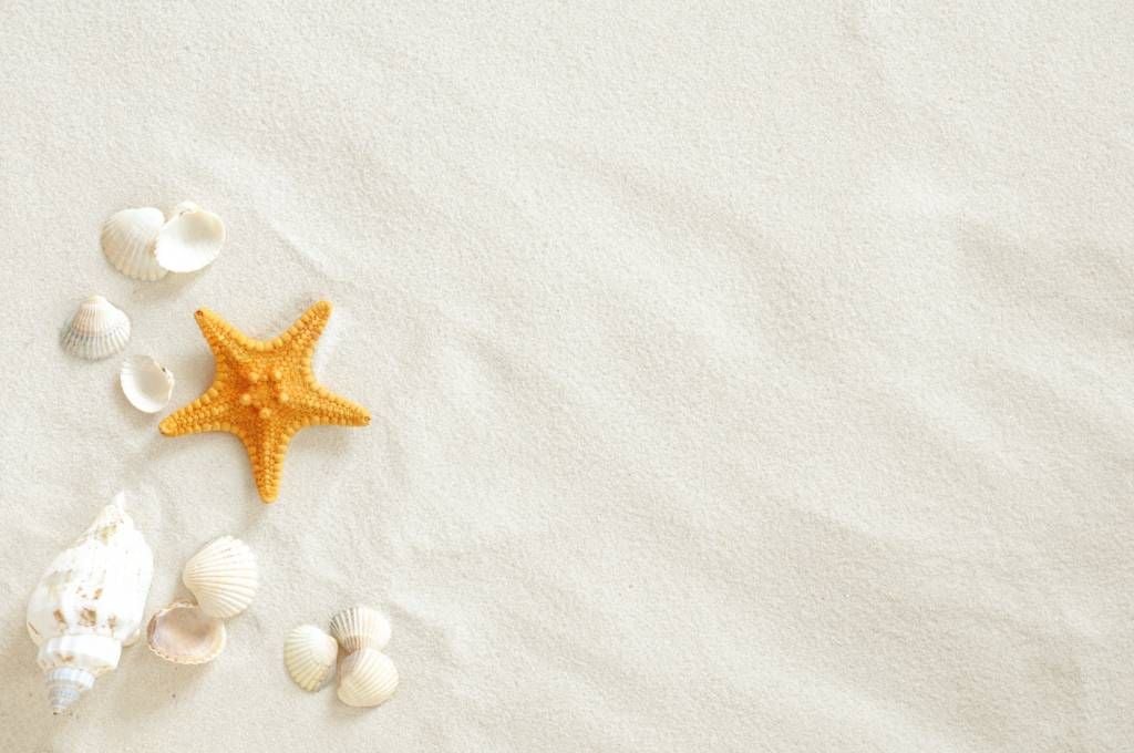 Sjöstjärna på vit sand