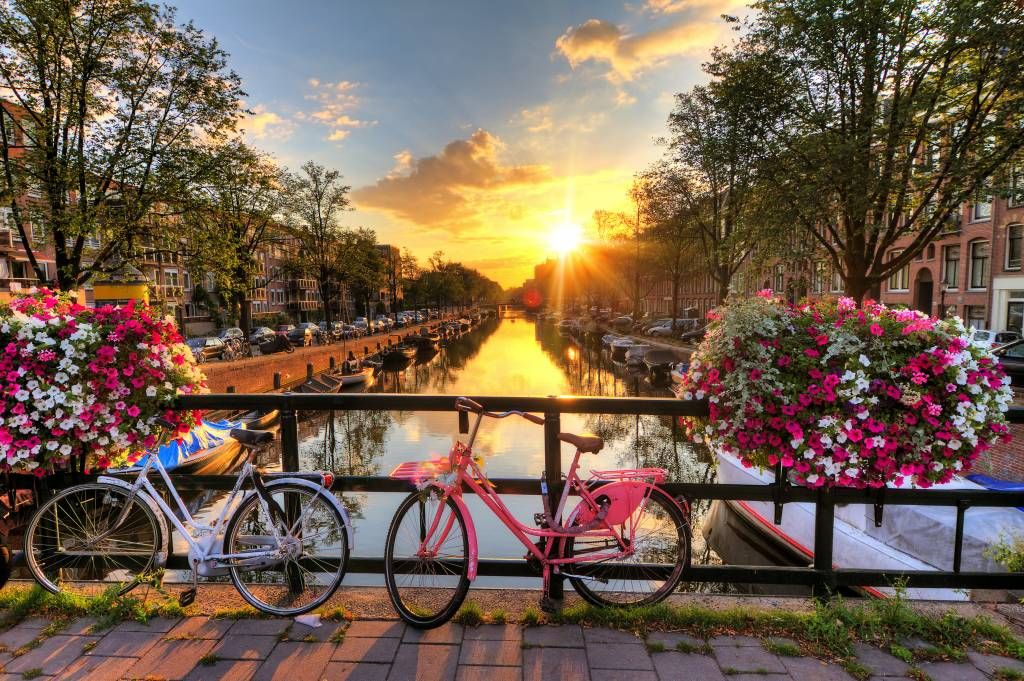 Cykla på en bro med blommor