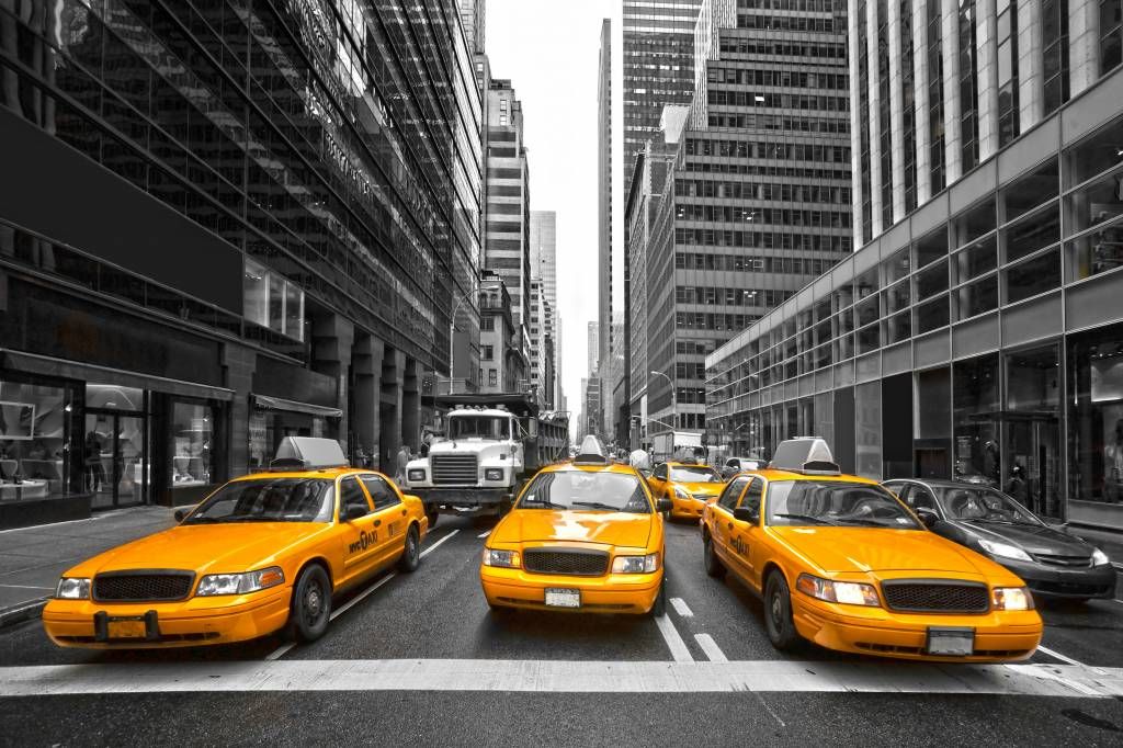 Gula taxibilar i New York