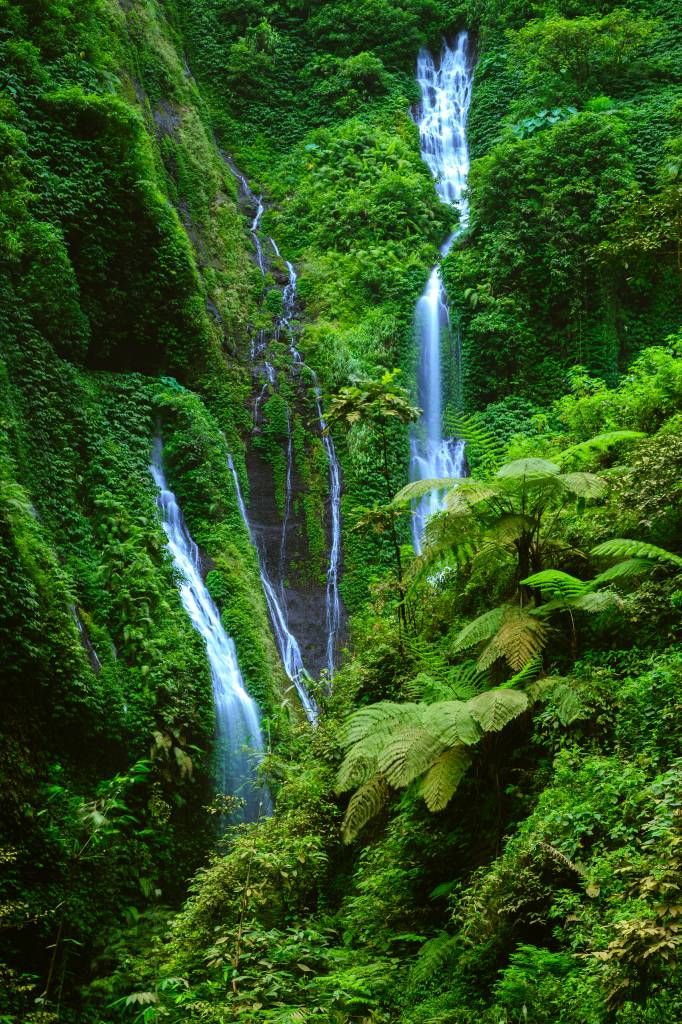 Grön djungel och vattenfall