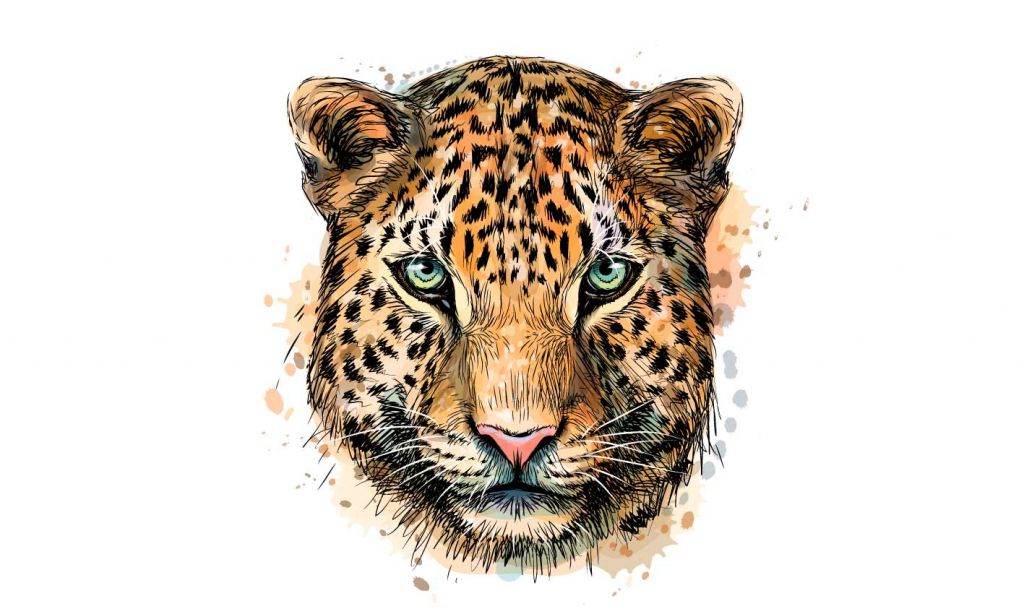 Leopard i akvarell