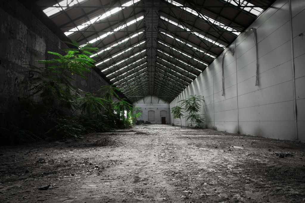 Industriell hall med växter