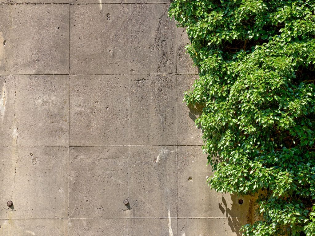 betong med buske