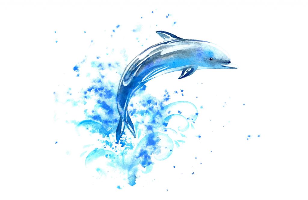 Springende delfin