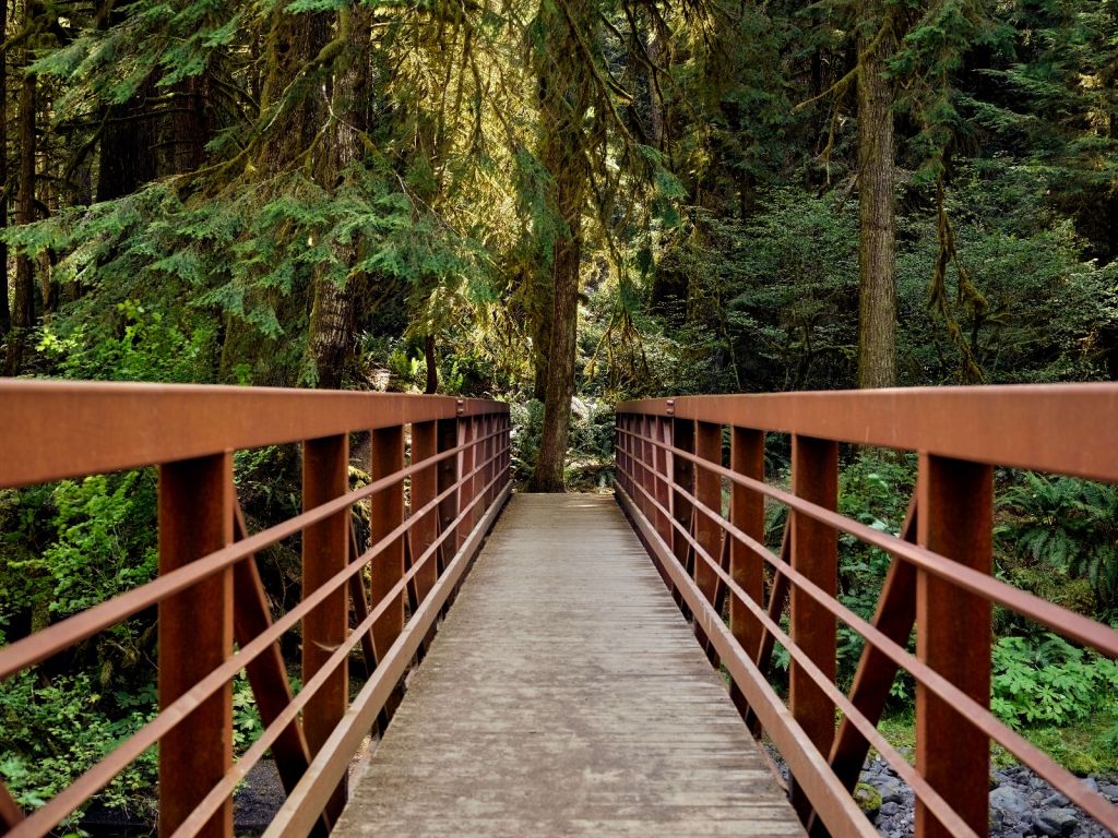Rostig bro i skogen