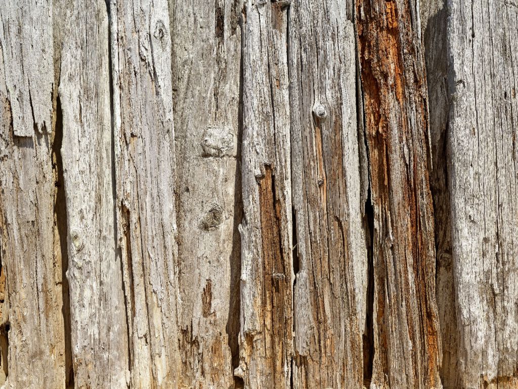 Vertikalt gammalt trä
