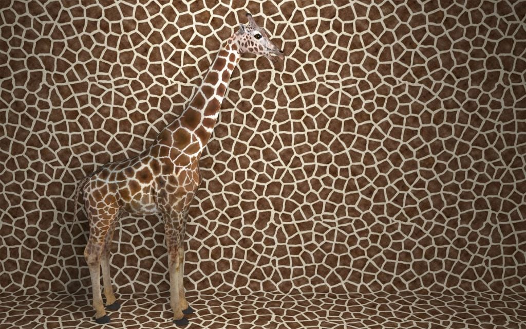 Kamouflerad giraff