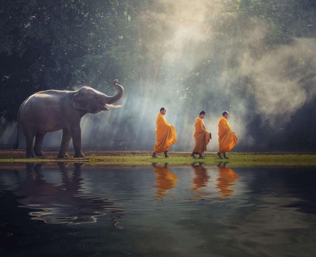 Elefant och buddhister