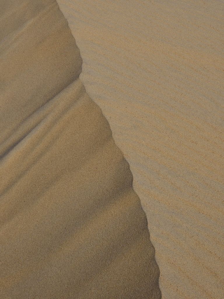 Linjer i sanden