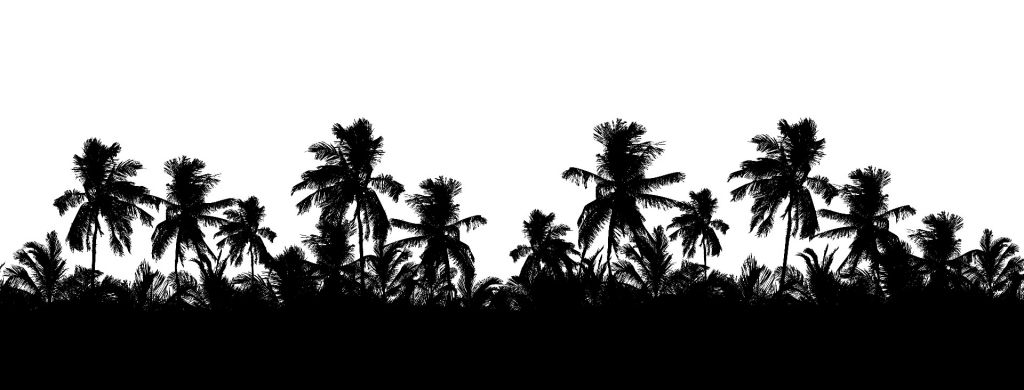 Silhuett palmer