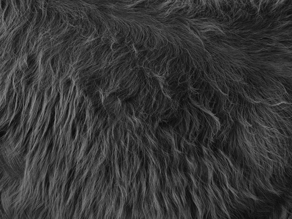 Skotsk hoglandare kappa i svartvitt