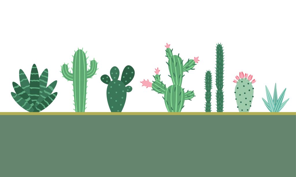 Grönt område med kaktusar