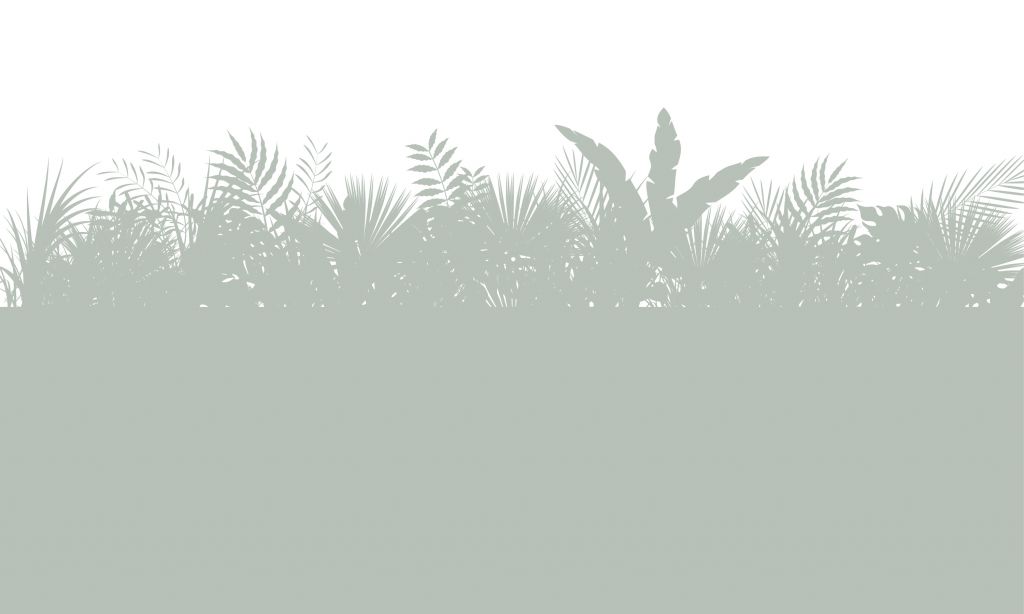 Silhuetter palmblad, ljusgröna