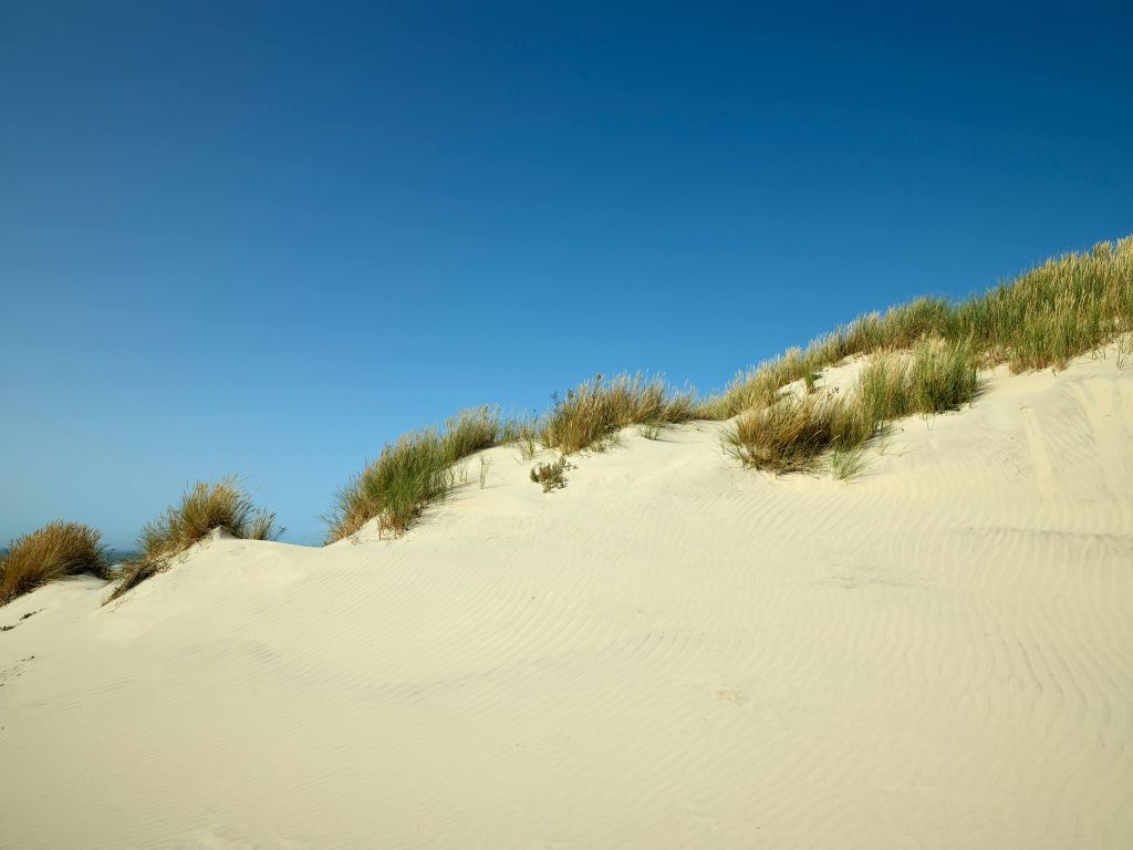 sanddyner med blå himmel