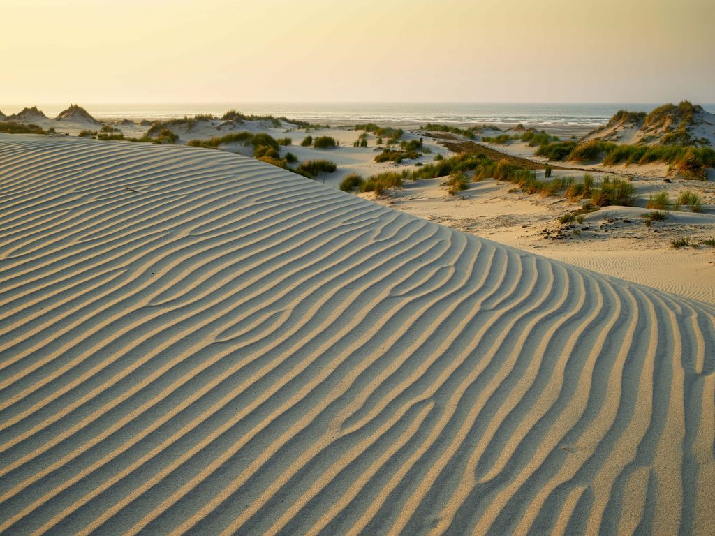 sanddyner vid solnedgången