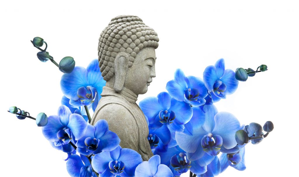 Buddha och orkidéer