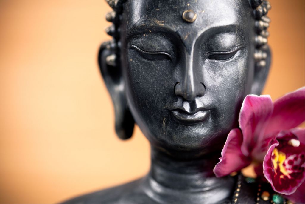 Buddha och rosa orkidé