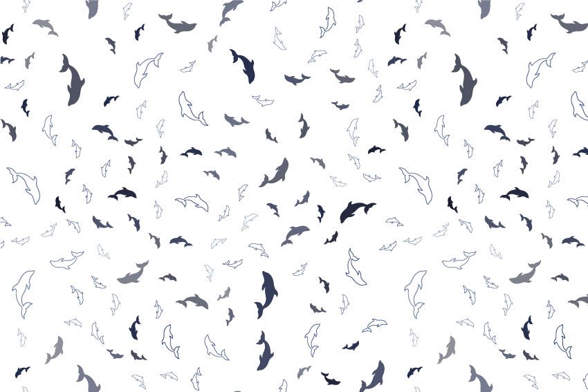 Delfiner mönster