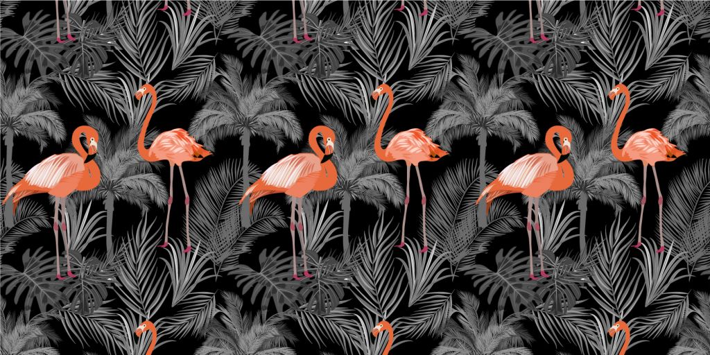 Flamingos på svarta