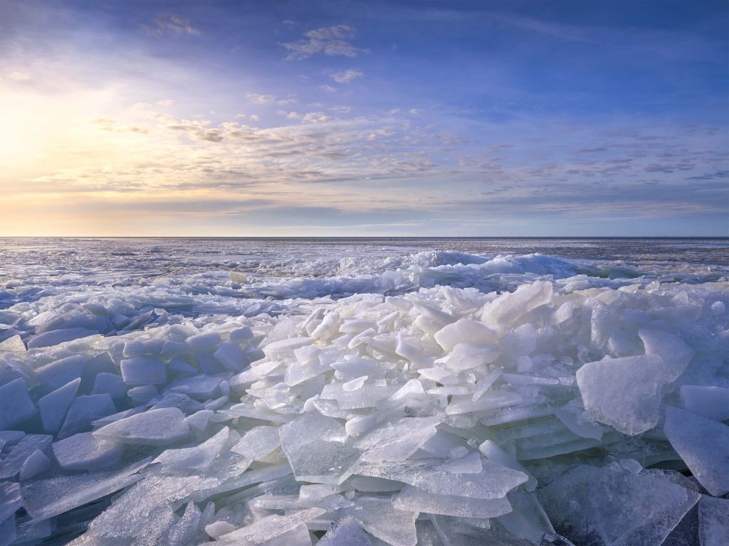 Krossande is på Ijsselmeer