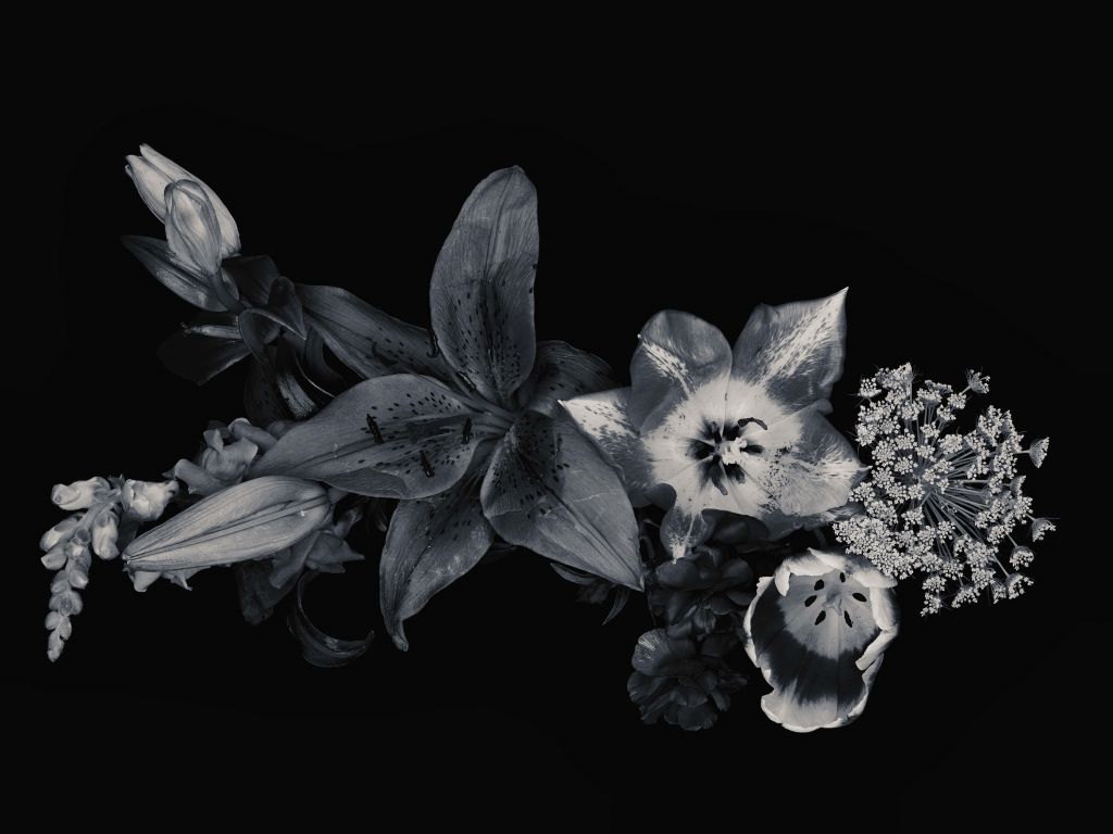 Sammansatta blommor svart och vitt