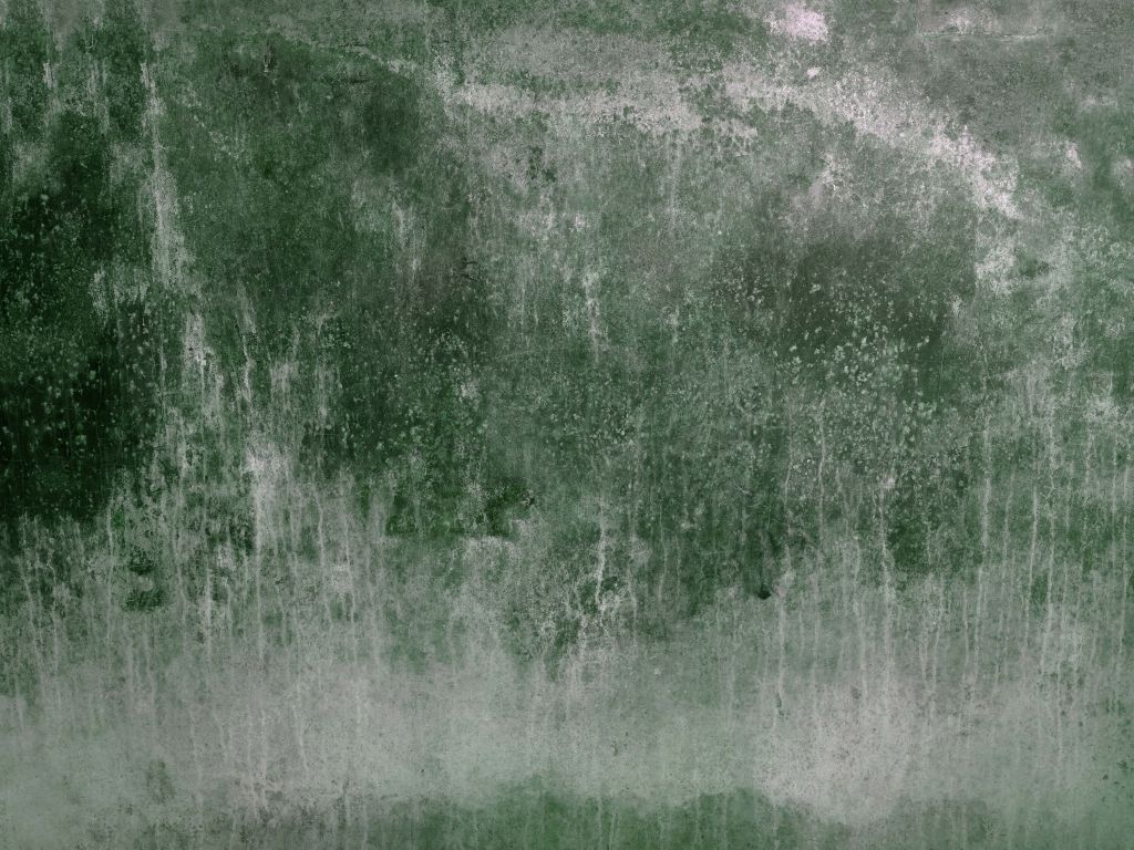 Gammal väderbiten grön vägg