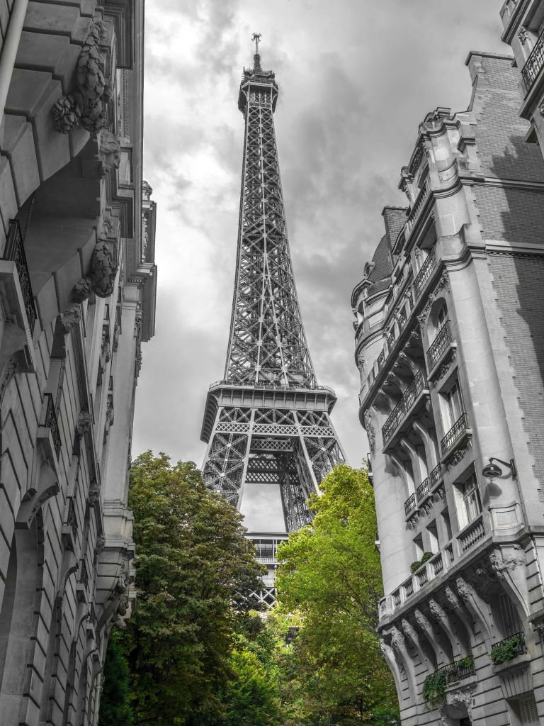 Eiffeltornet svart och vitt