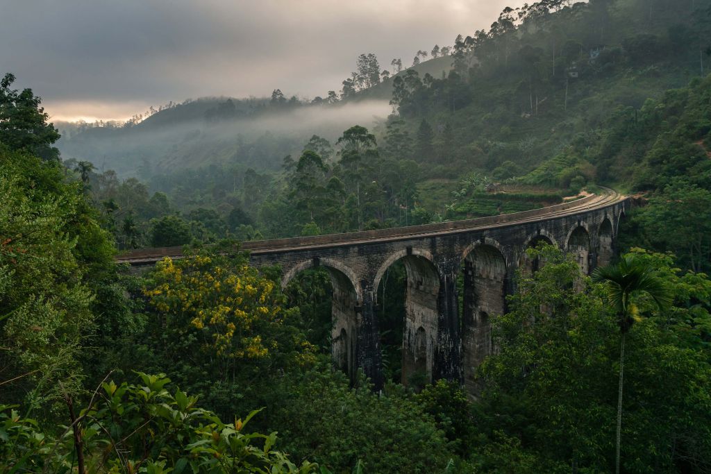 Järnvägsbro genom djungeln