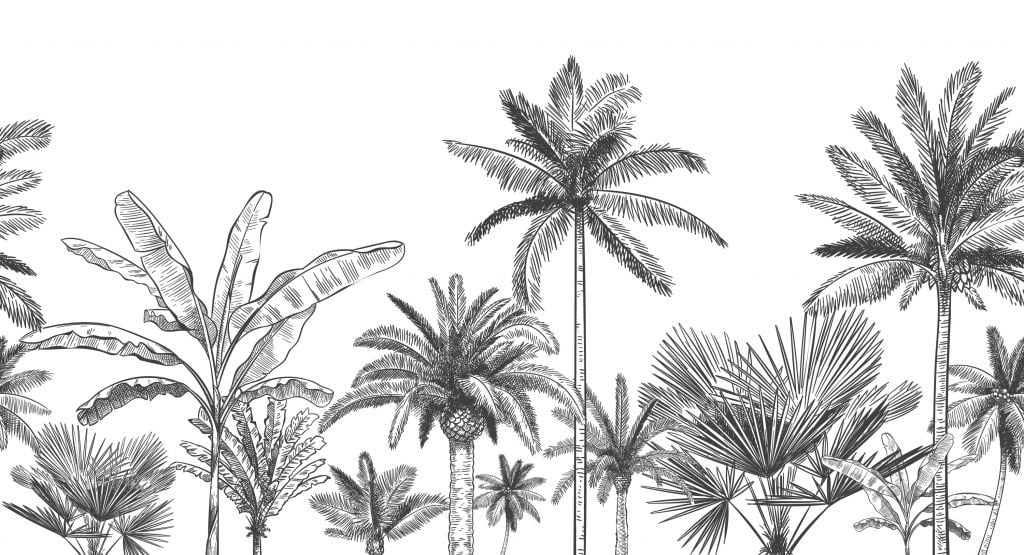 Tecknade palmer