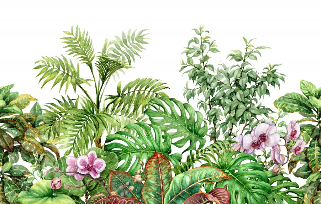 Tropiska växter i akvarell