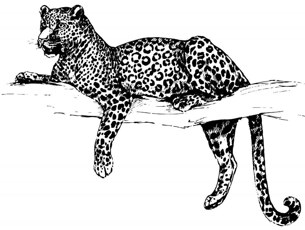 Tecknad leopard
