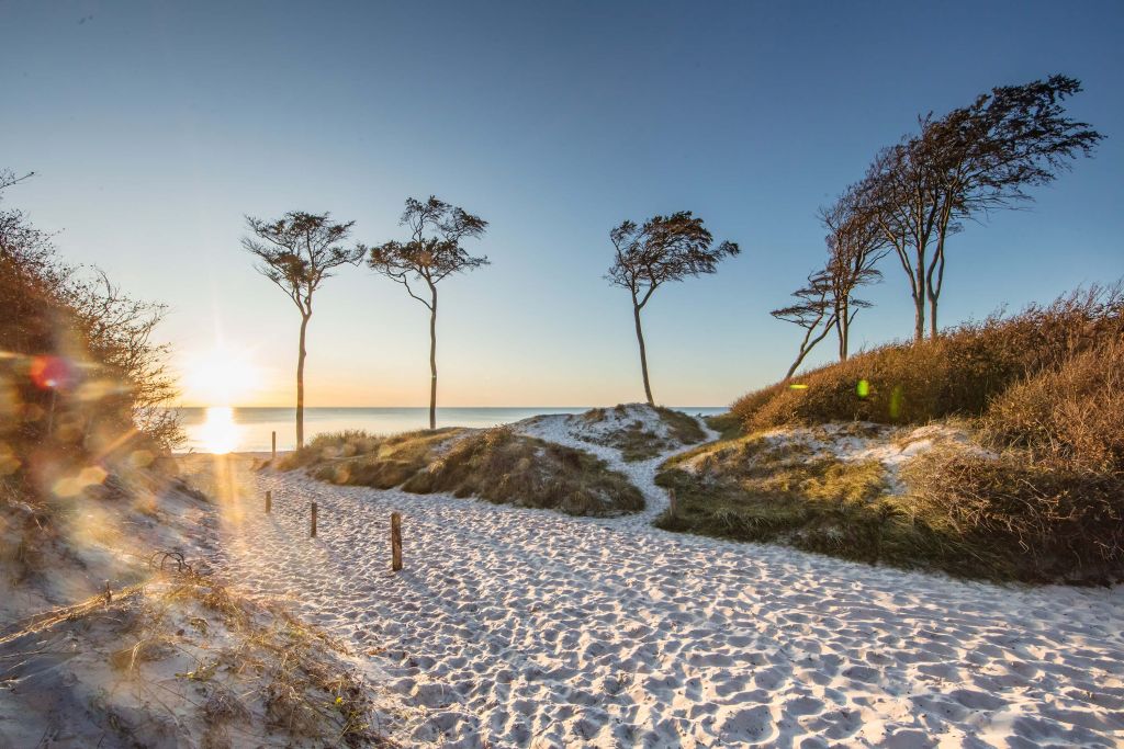 Strand vid Östersjön