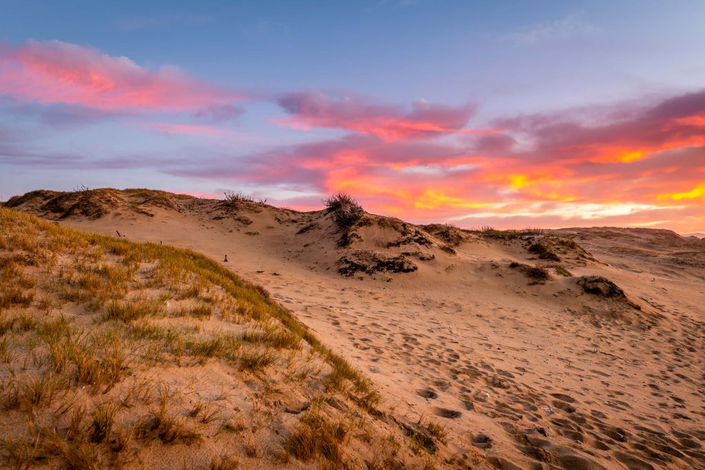 Solnedgång från sanddynerna