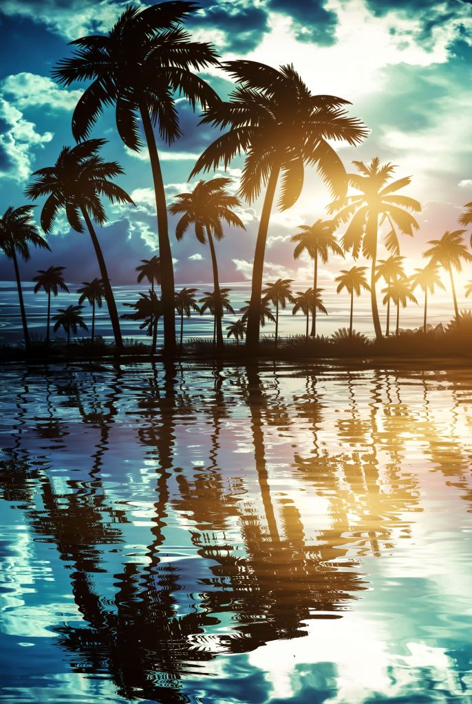 Nattlandskap med palmer