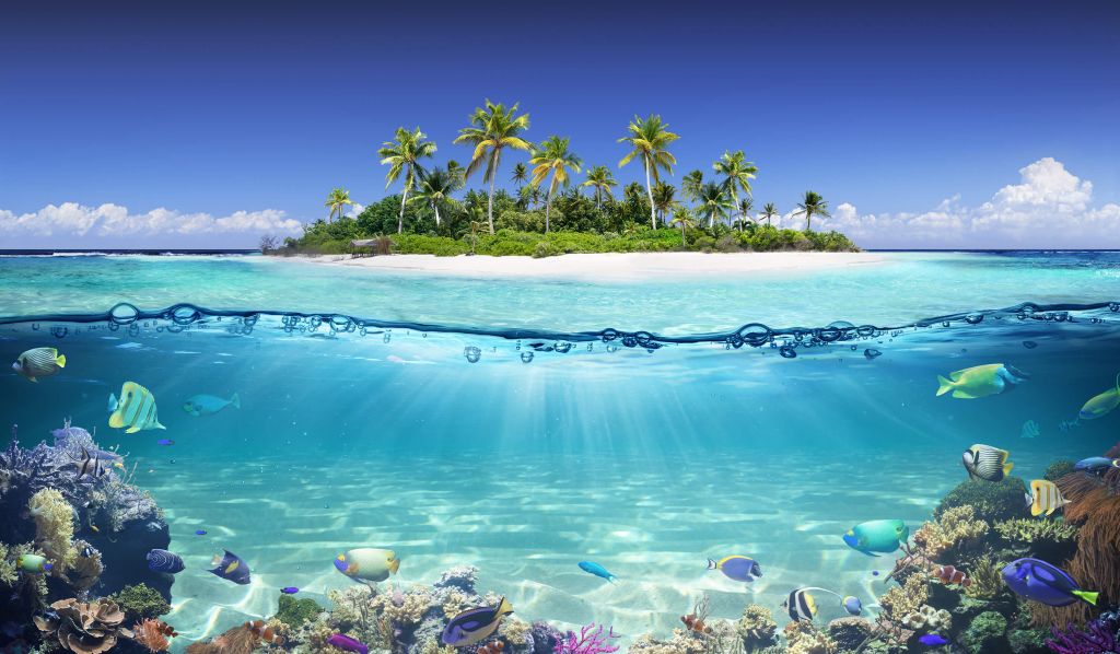 Tropisk ö och korallrev