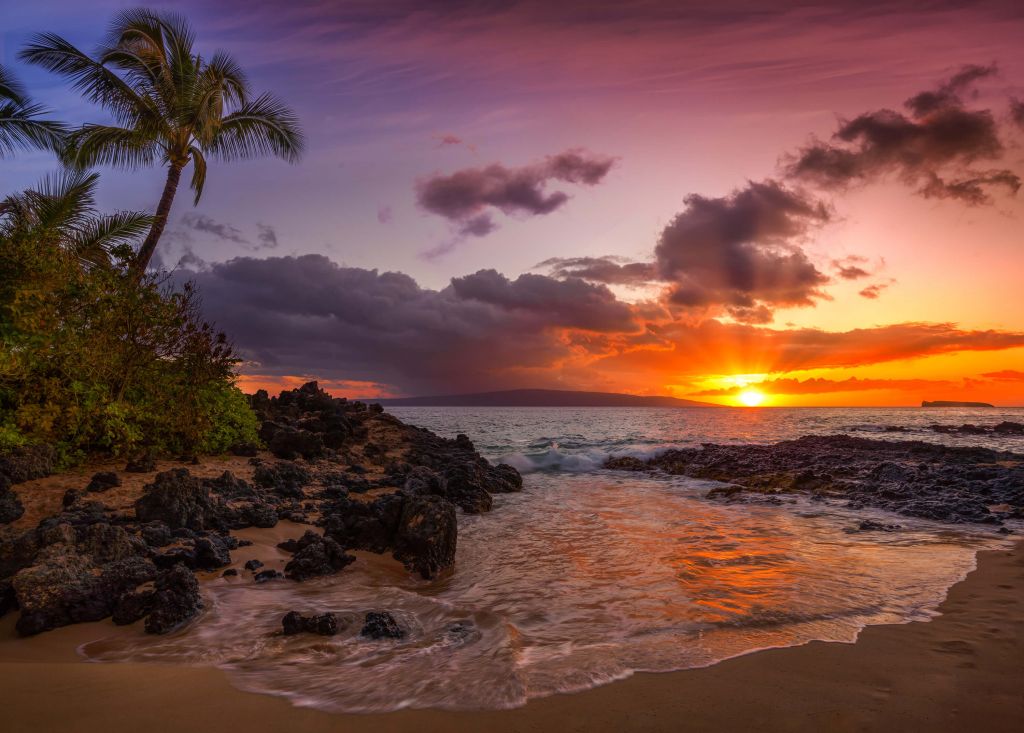 Hawaiiska stranden