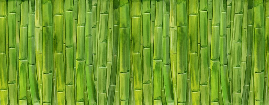Akvarell bambu