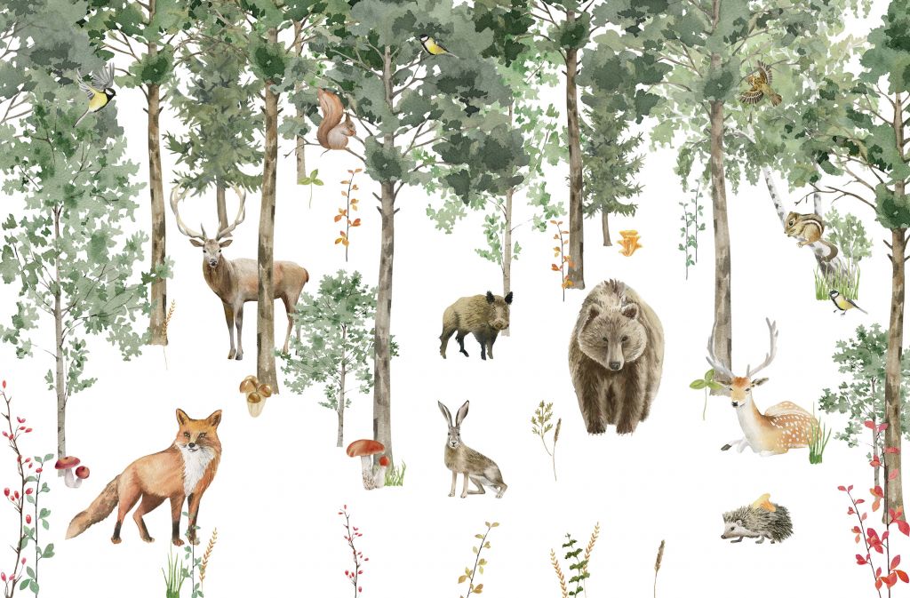 Akvarell skogens djur