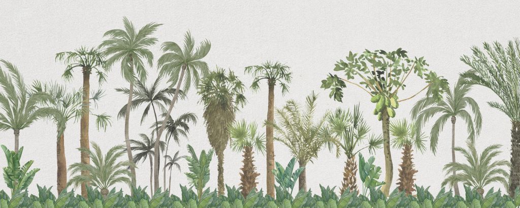 Tropiska träd och växter