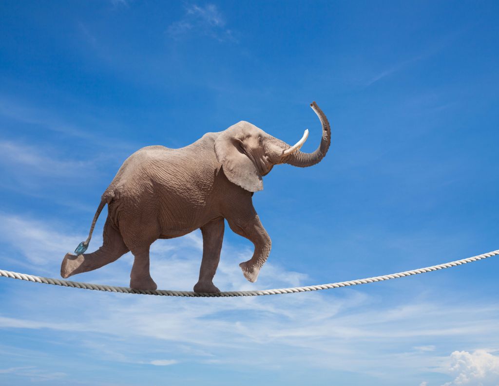 Elefant i balans