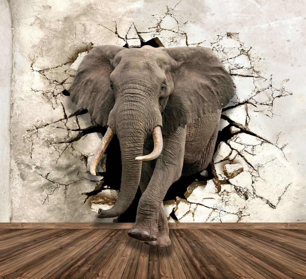 Stor elefant ur väggen