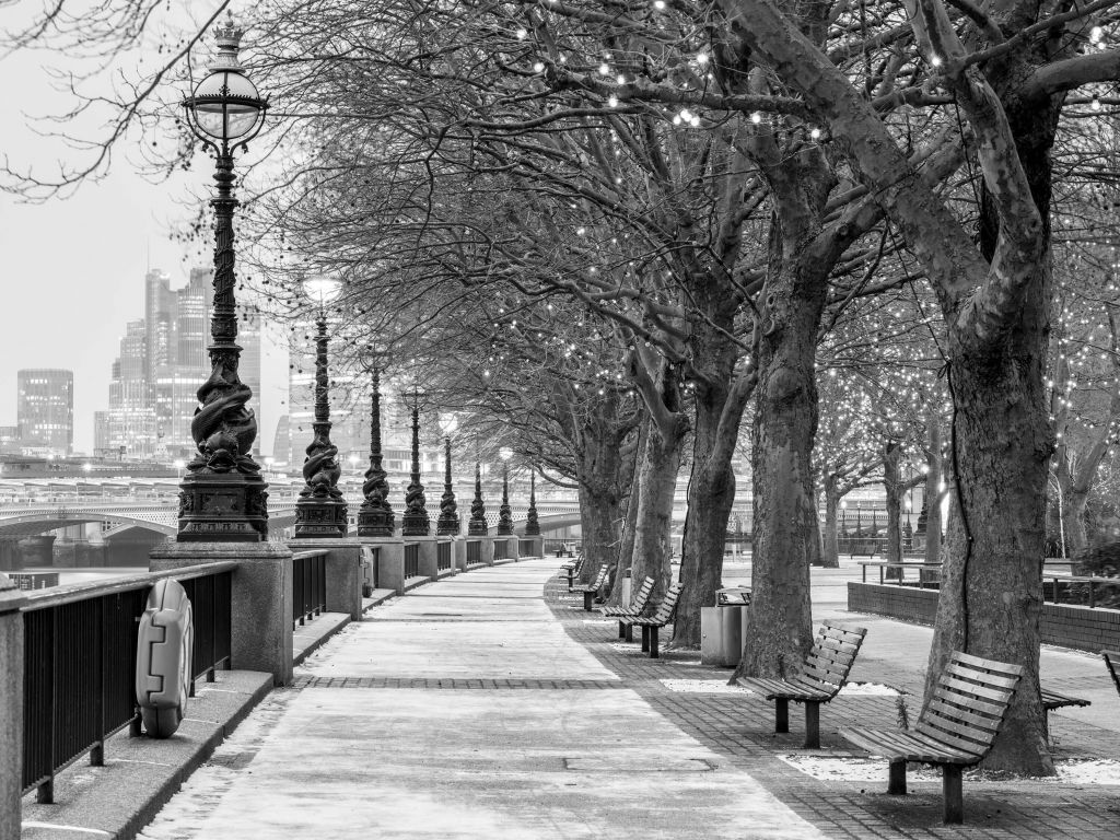 Park i London
