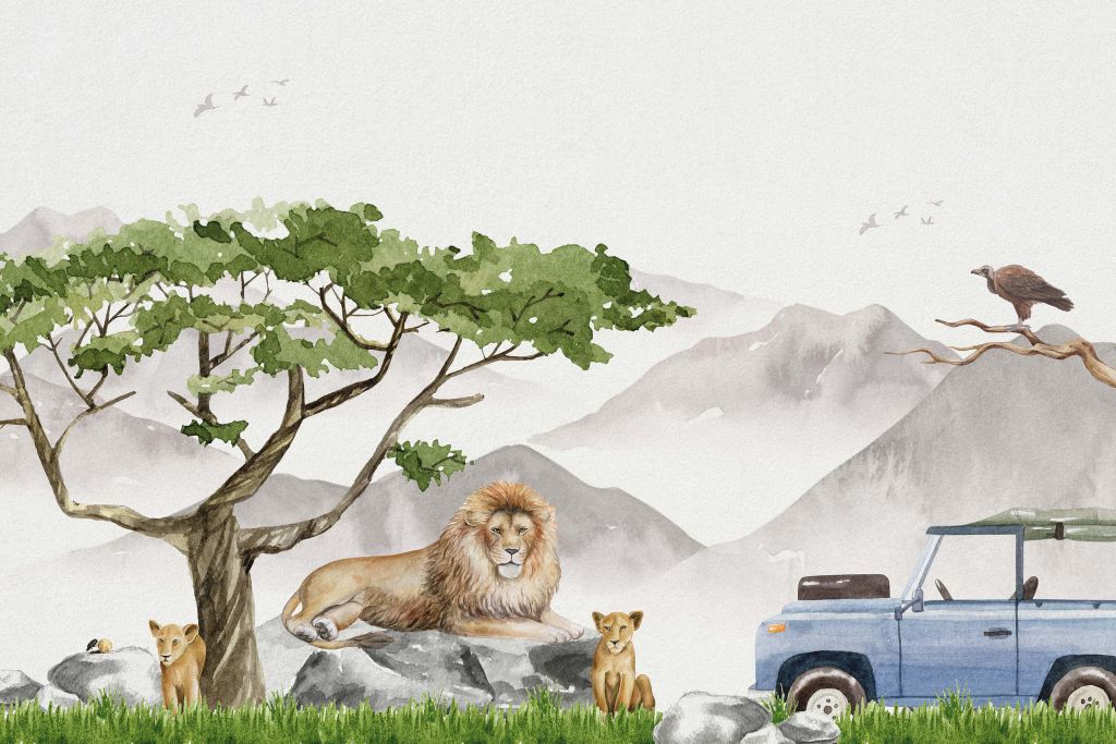Lejon på safari