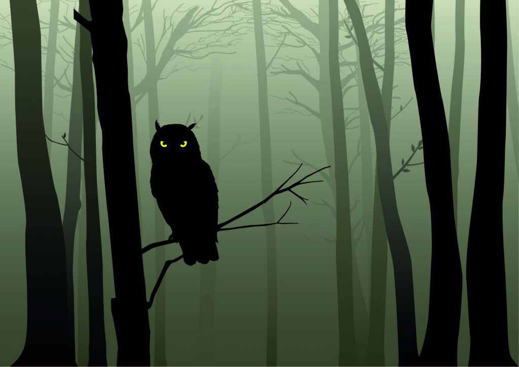 Illustrerad uggla i mörk skog