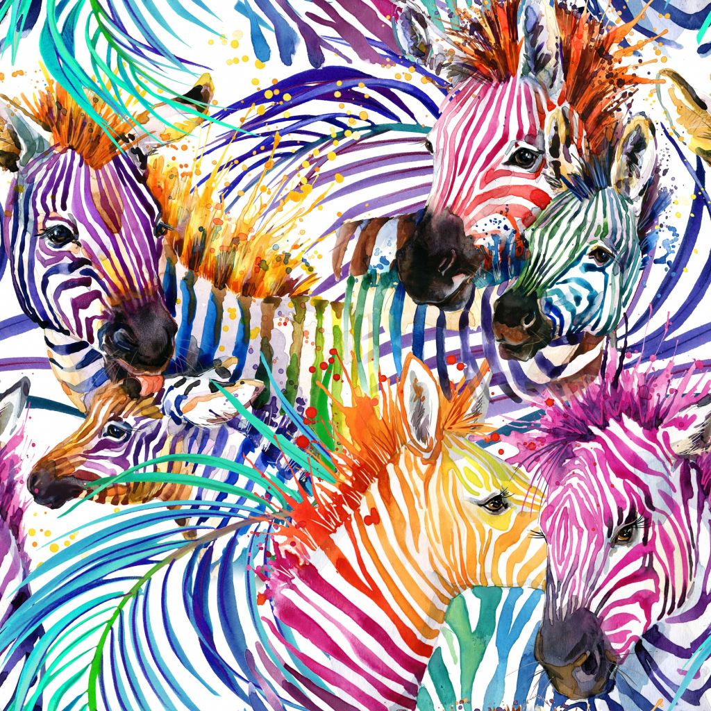 Färgade zebror